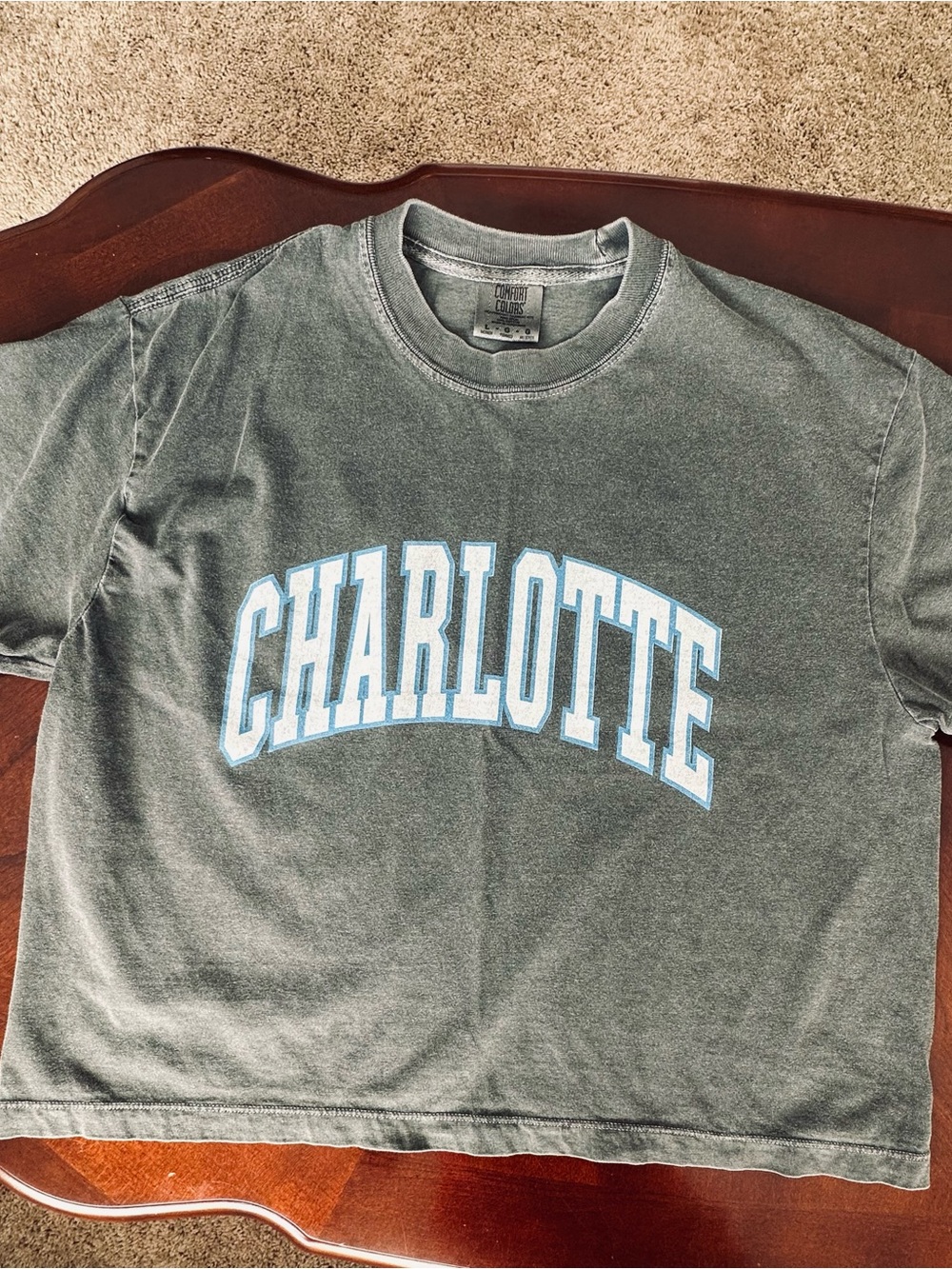 Charlotte Comfort Colors Gray Crop Top Shirt